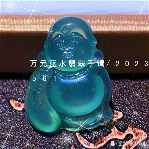 万元蓝水翡翠手镯/2023042676561