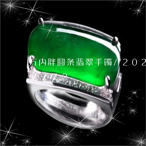 万内胖圆条翡翠手镯/2023120387272