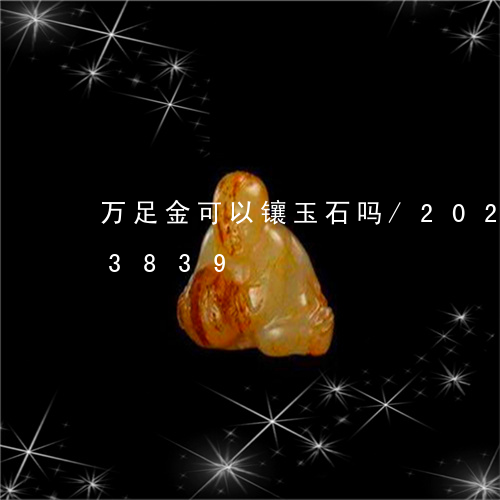 万足金可以镶玉石吗/2023110273839