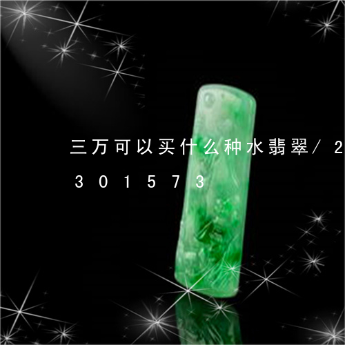 三万可以买什么种水翡翠/2023031301573