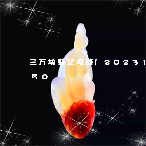 三万块翡翠项链/2023112304050