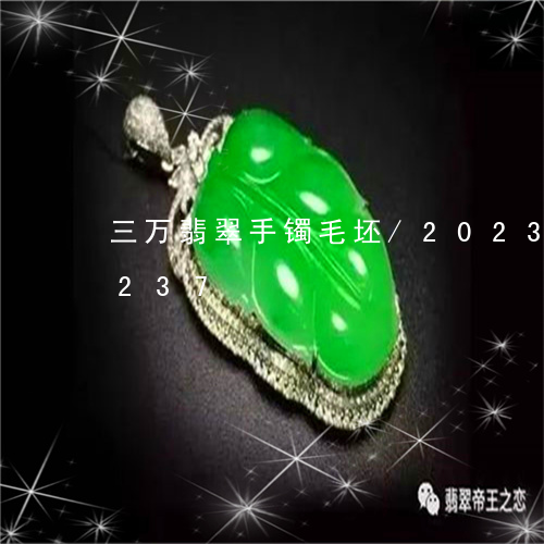 三万翡翠手镯毛坯/2023042666237