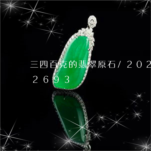 三四百克的翡翠原石/2023110272693