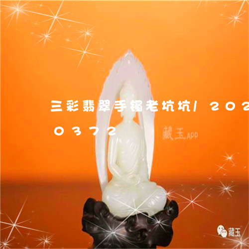 三彩翡翠手镯老坑坑/2023110200372