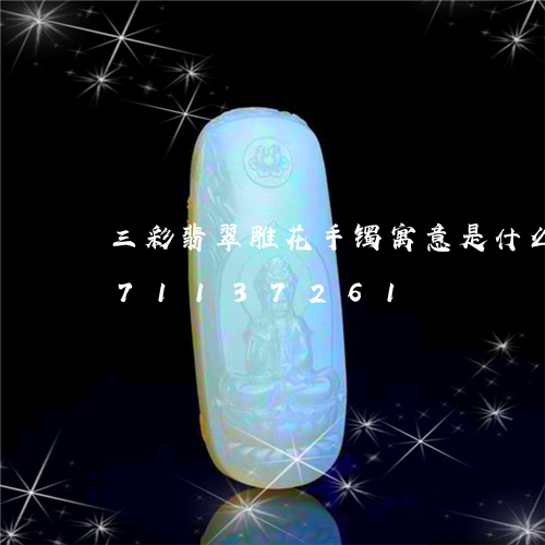 三彩翡翠雕花手镯寓意是什么/2023071137261