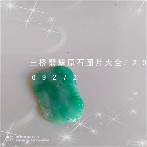 三桥翡翠原石图片大全/2023072169272