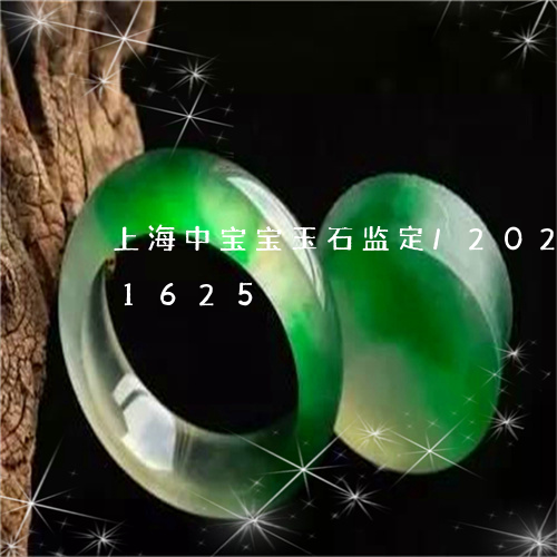 上海中宝宝玉石监定/2023110261625