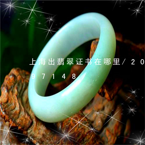 上海出翡翠证书在哪里/2023072197148