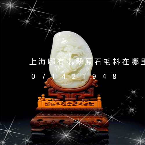 上海哪有翡翠原石毛料在哪里买/2023071421948