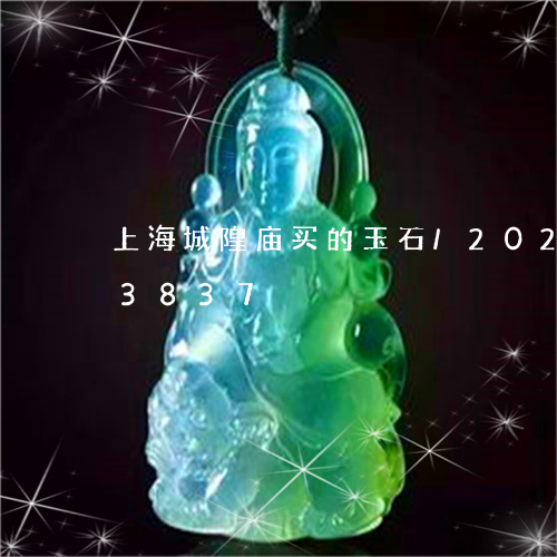 上海城隍庙买的玉石/2023110213837