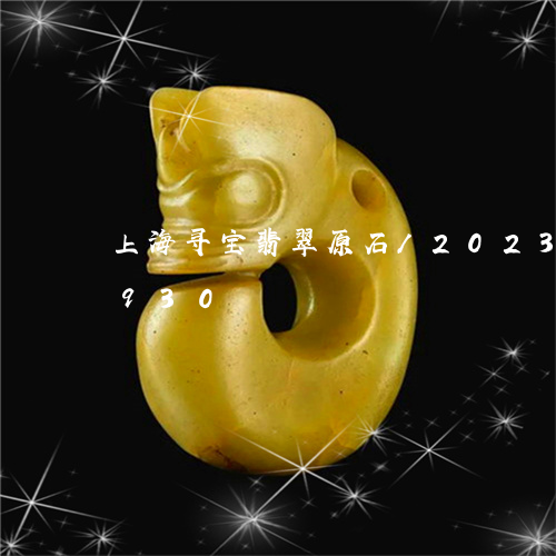 上海寻宝翡翠原石/2023042640930