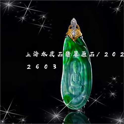 上海水皮石翡翠原石/2023110202603