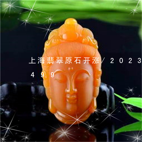 上海翡翠原石开涨/2023042774499