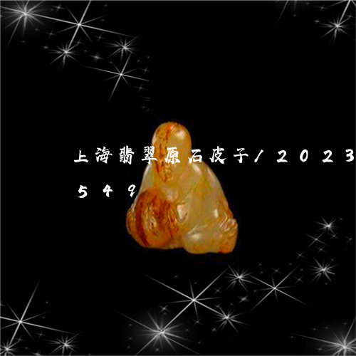 上海翡翠原石皮子/2023042772549