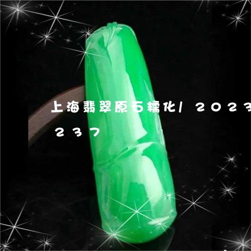 上海翡翠原石糯化/2023042712237