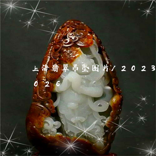 上海翡翠吊坠图片/2023042716026