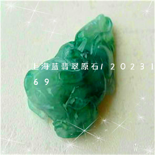 上海蓝翡翠原石/2023121629169