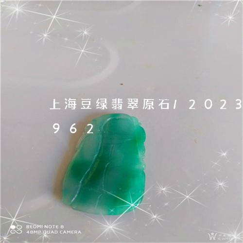 上海豆绿翡翠原石/2023042767962