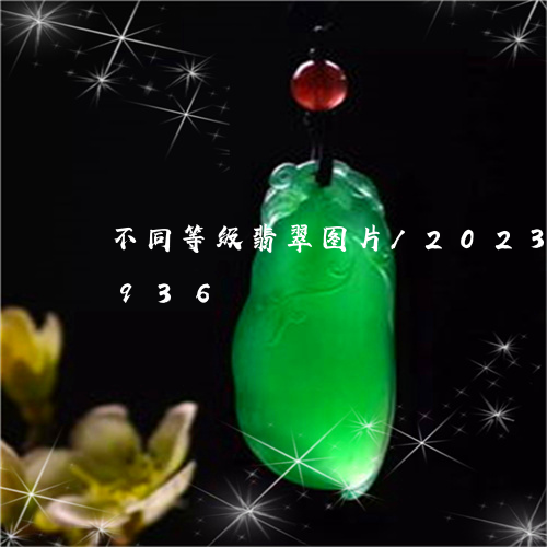 不同等级翡翠图片/2023042726936