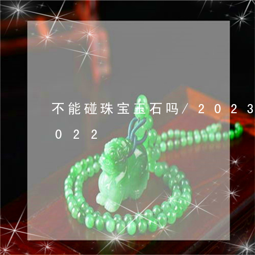 不能碰珠宝玉石吗/2023042760022