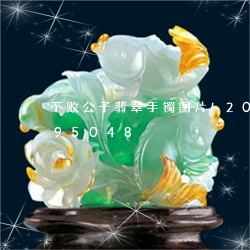 不败公子翡翠手镯图片/2023072295048