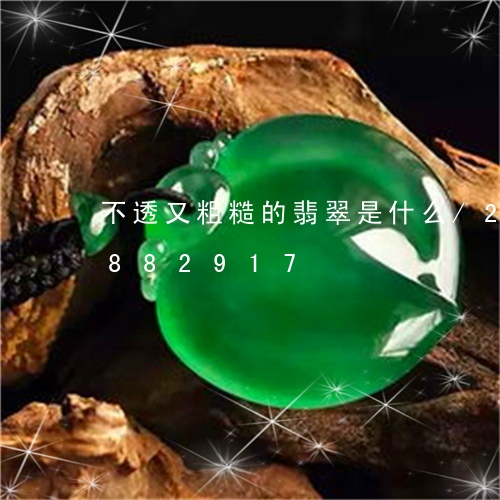 不透又粗糙的翡翠是什么/2023111882917