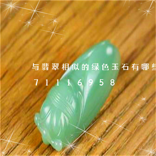 与翡翠相似的绿色玉石有哪些/2023071116958