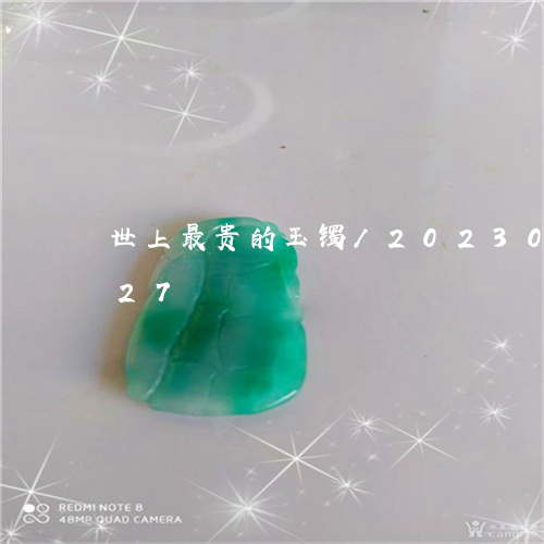 世上最贵的玉镯/2023033193027