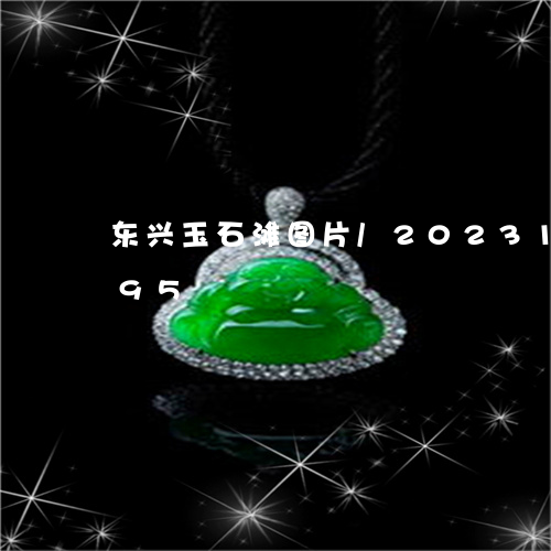 东兴玉石滩图片/2023112368395