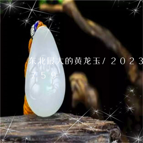 东北最大的黄龙玉/2023042662759