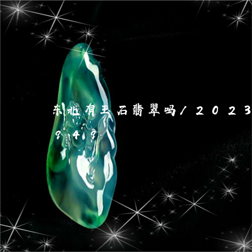 东北有玉石翡翠吗/2023042605949