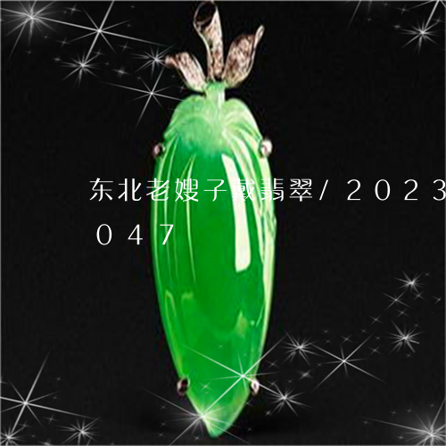 东北老嫂子戴翡翠/2023102486047