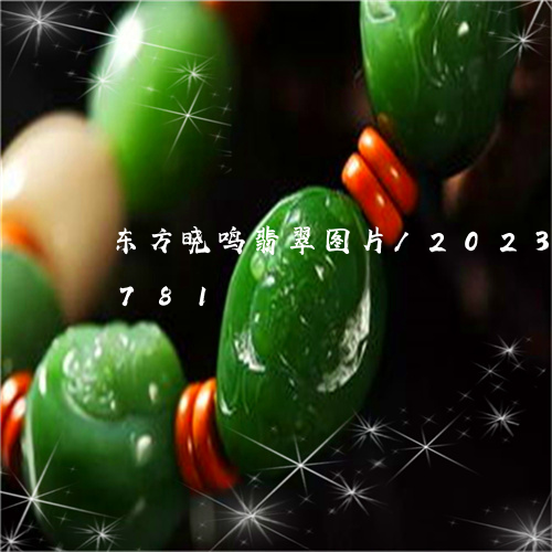 东方晓鸣翡翠图片/2023042661781