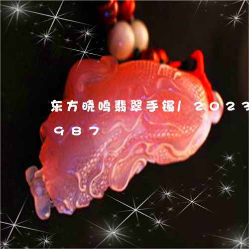 东方晓鸣翡翠手镯/2023042693987