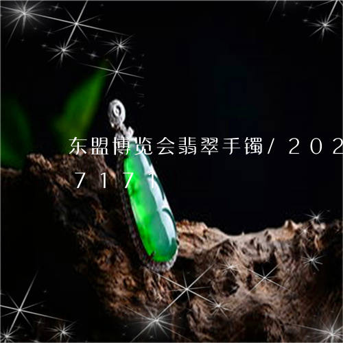 东盟博览会翡翠手镯/2023110227171