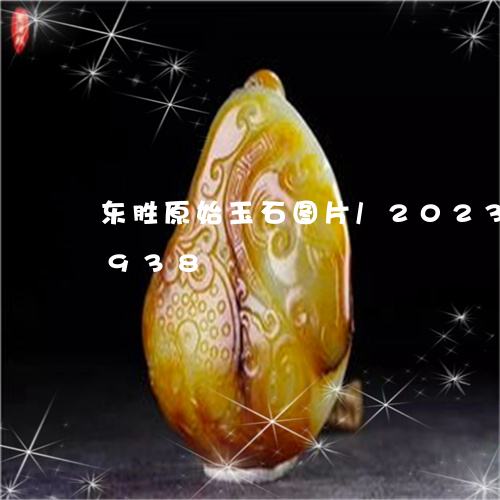 东胜原始玉石图片/2023042647938