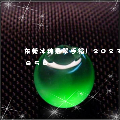 东莞冰种翡翠手镯/2023042676850