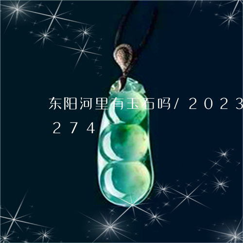 东阳河里有玉石吗/2023042602274