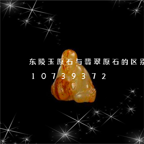 东陵玉原石与翡翠原石的区别/2023110739372