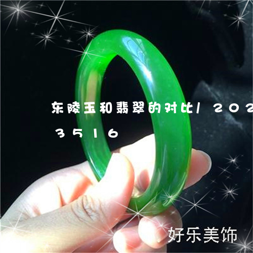 东陵玉和翡翠的对比/2023110273516