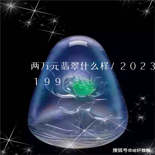 两万元翡翠什么样/2023042662199