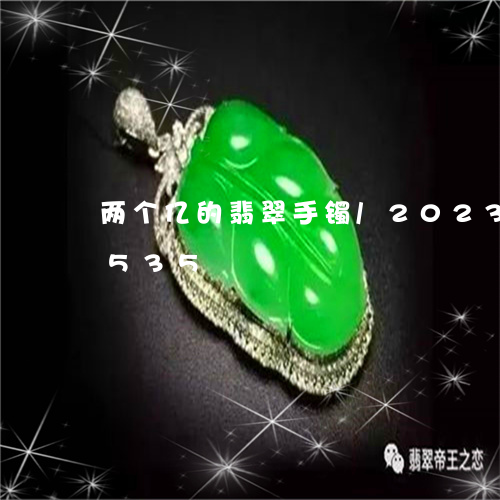 两个亿的翡翠手镯/2023042676535