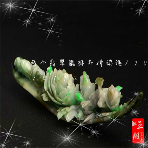 两个翡翠貔貅并排编绳/2023092970792