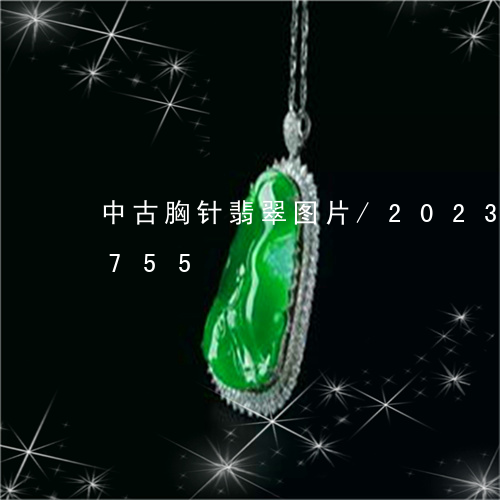 中古胸针翡翠图片/2023042750755