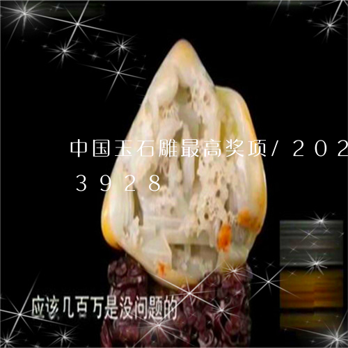 中国玉石雕最高奖项/2023110103928