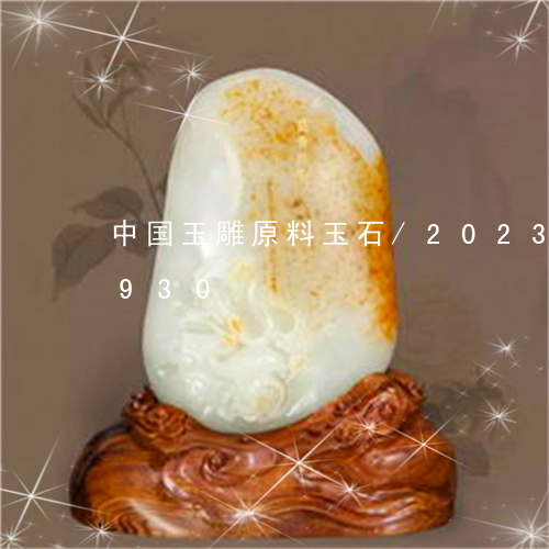 中国玉雕原料玉石/2023042701930