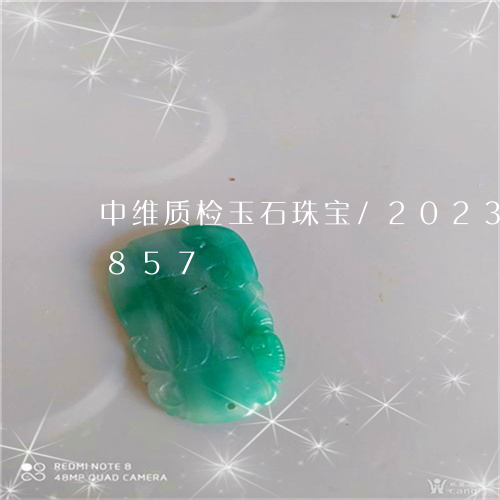 中维质检玉石珠宝/2023042669857