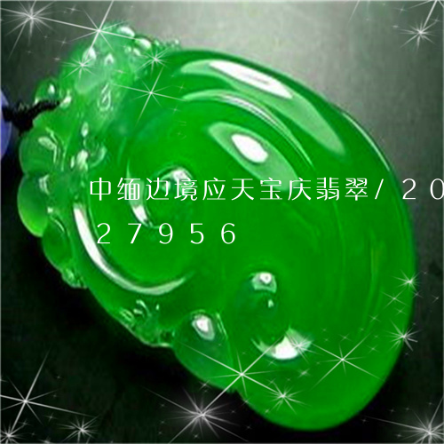 中缅边境应天宝庆翡翠/2023072227956