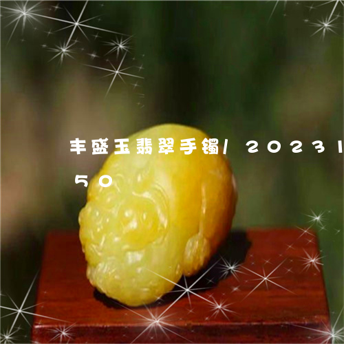 丰盛玉翡翠手镯/2023121686950