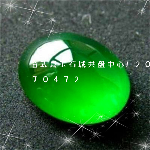 临武县玉石城共盘中心/2023072170472